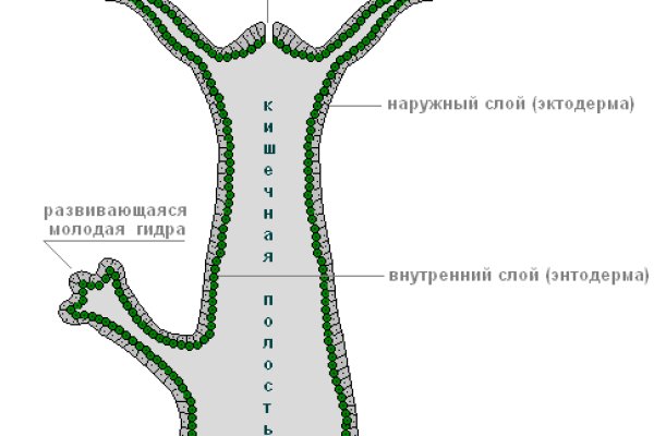 Кракен телеграм