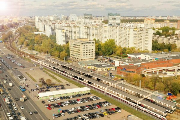 Купить гашиш в москве